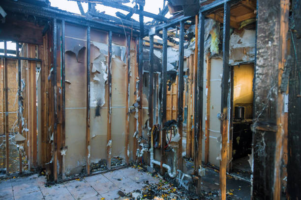 Professional Smoke Damage Removal technician working in McLean, VA